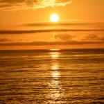 Cambria_0190 (November 04, 2017)